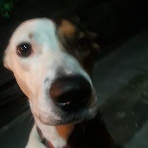 Meet your Posher, Kenyatti